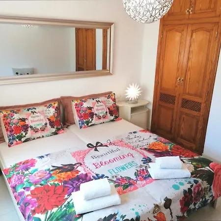 Casa Olivo *